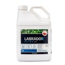 Labrador-Extra-50-ec-10l