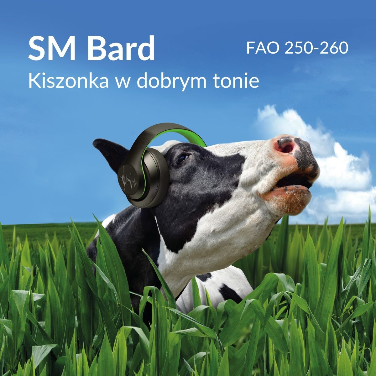 SM Bard - Kiszonka w dobry tonie