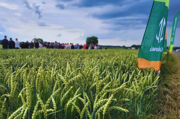 Zdjęcie plantacji demonstracyjnej