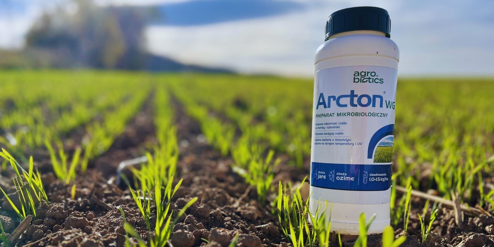 Arcton WG można stosować również jesienią