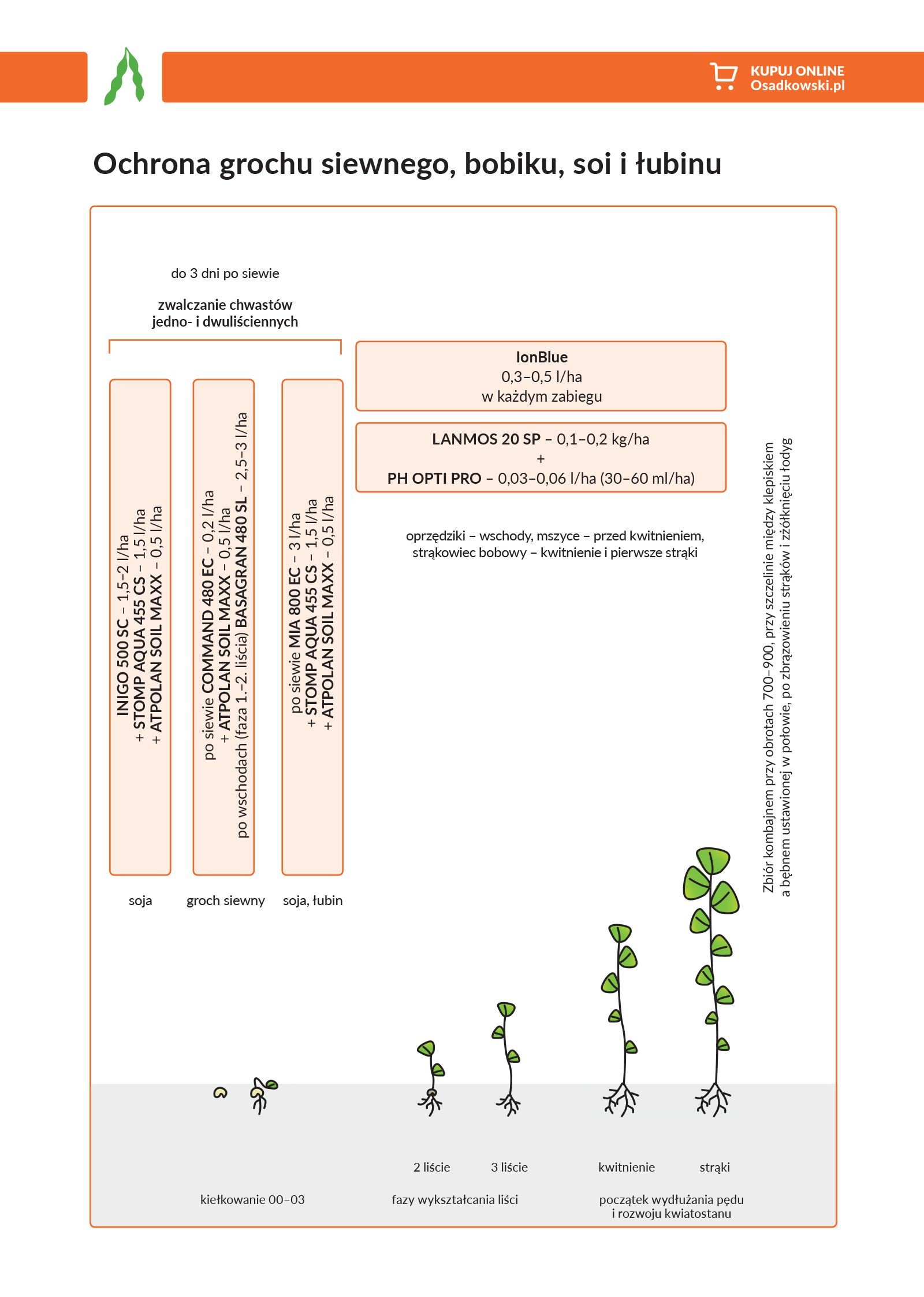 Bobowate - ochrona herbicydowa: grochu siewnego, bobiku, soi i łubinu
