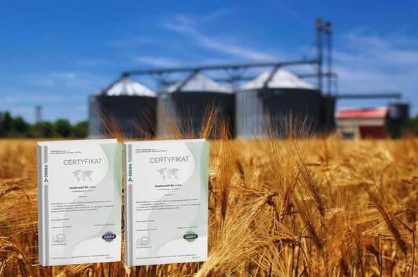 Certyfikaty GMP w handlu zbożami – czego dotyczy certyfikacja i dlaczego jest ważna?