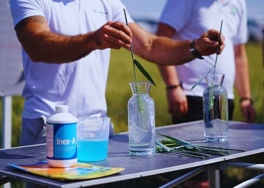 Zostań profesjonalnym doradcą agrotechnicznym