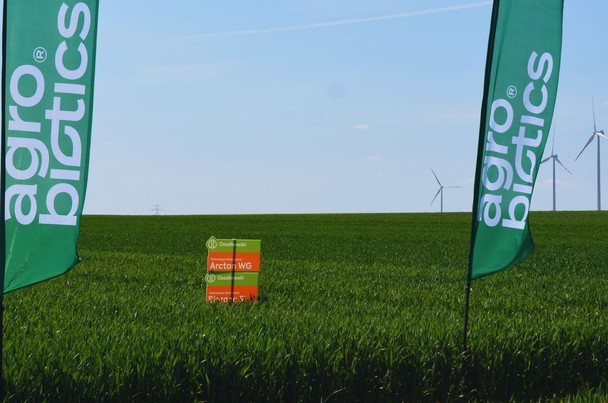 Ekoschemat biologiczna uprawa