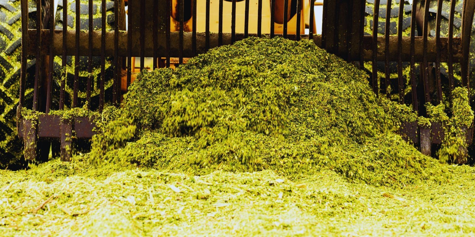 Jak wyprodukować dobrą kiszonkę?