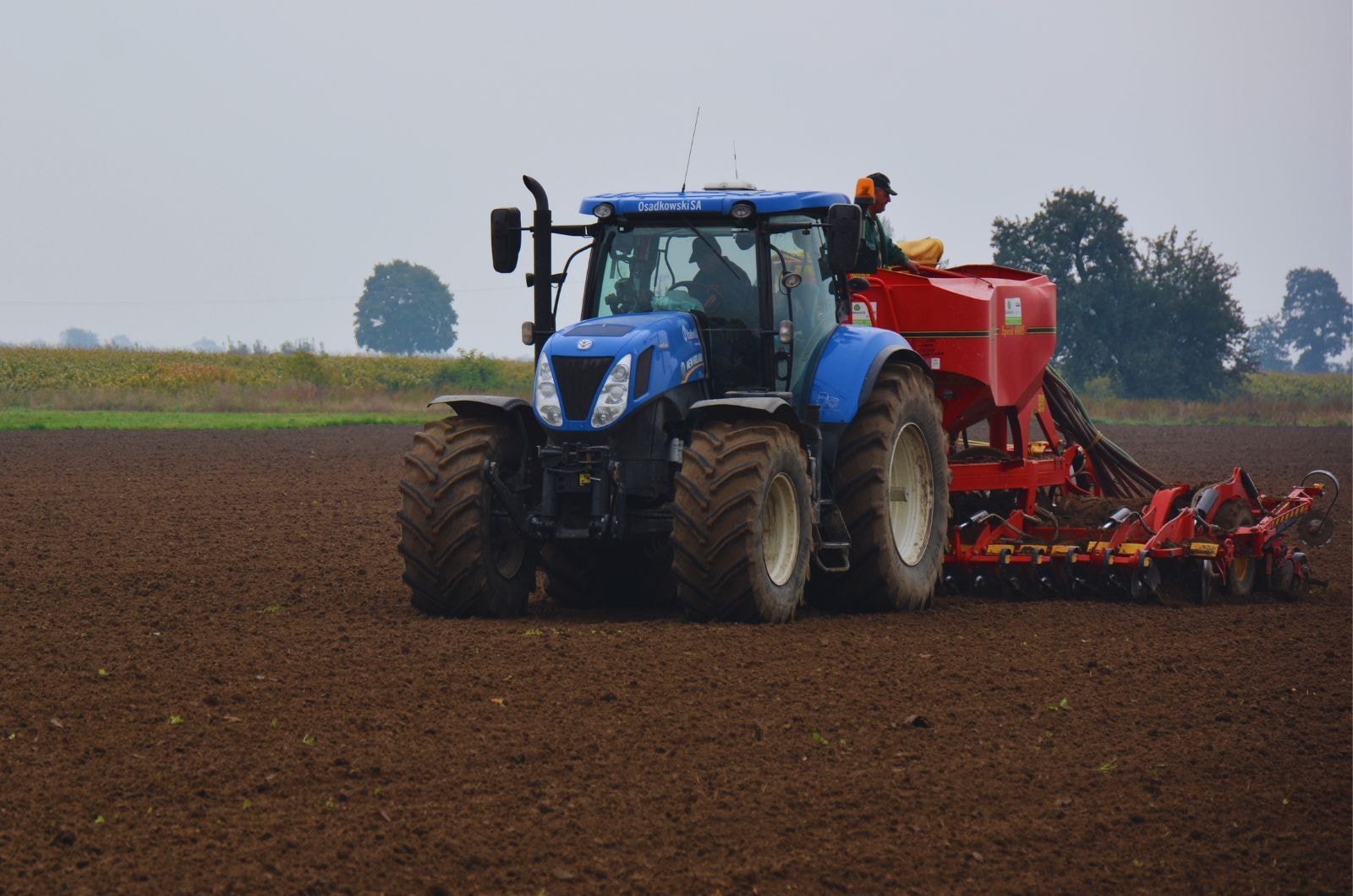 Jaki jest termin siewu pszenżyta ozimego?