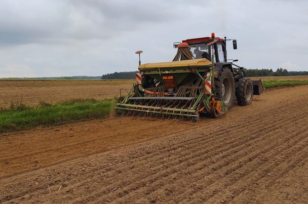 Jaki jest termin siewu żyta ozimego?