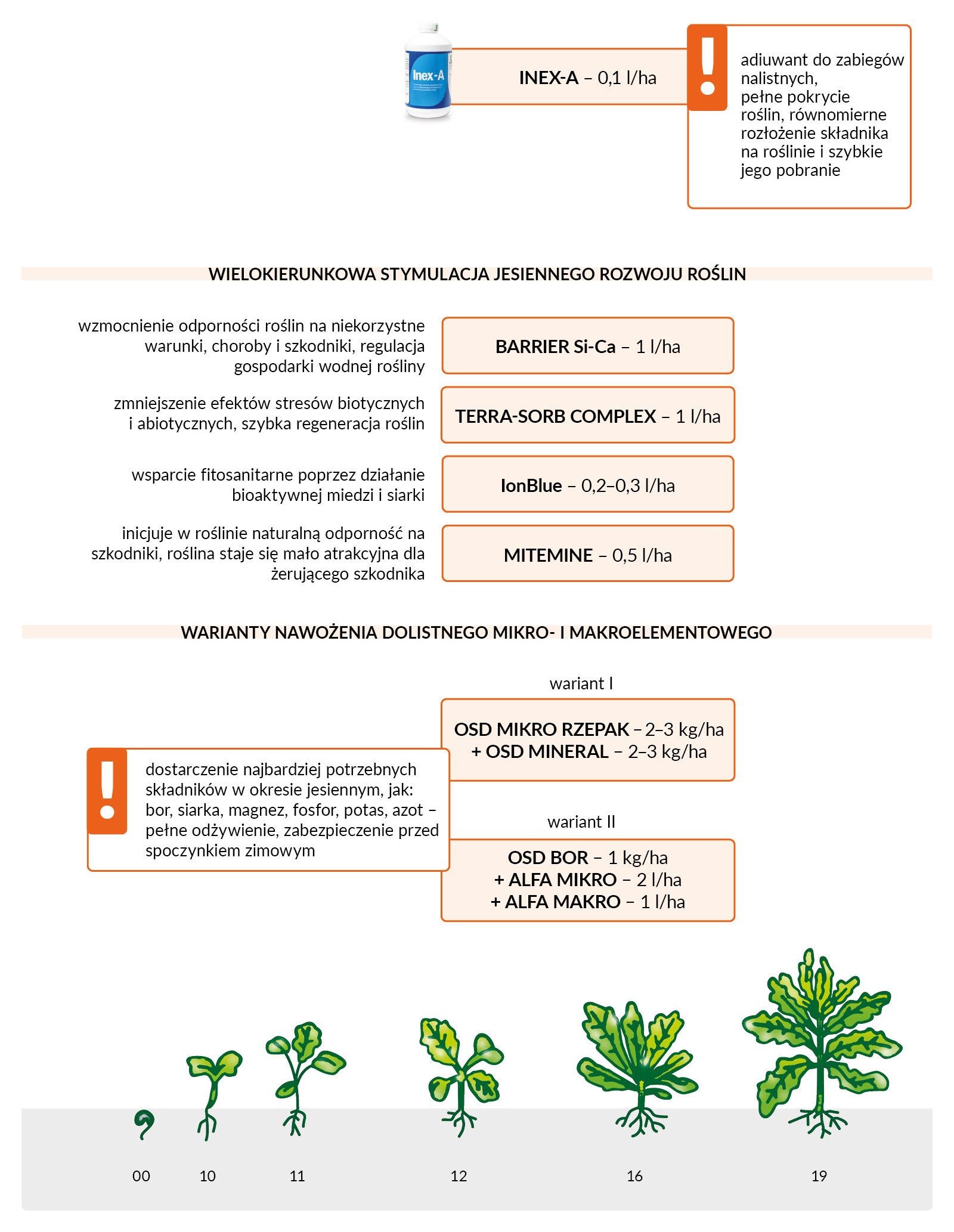 Jesienne nawożenie dolistne rzepaku