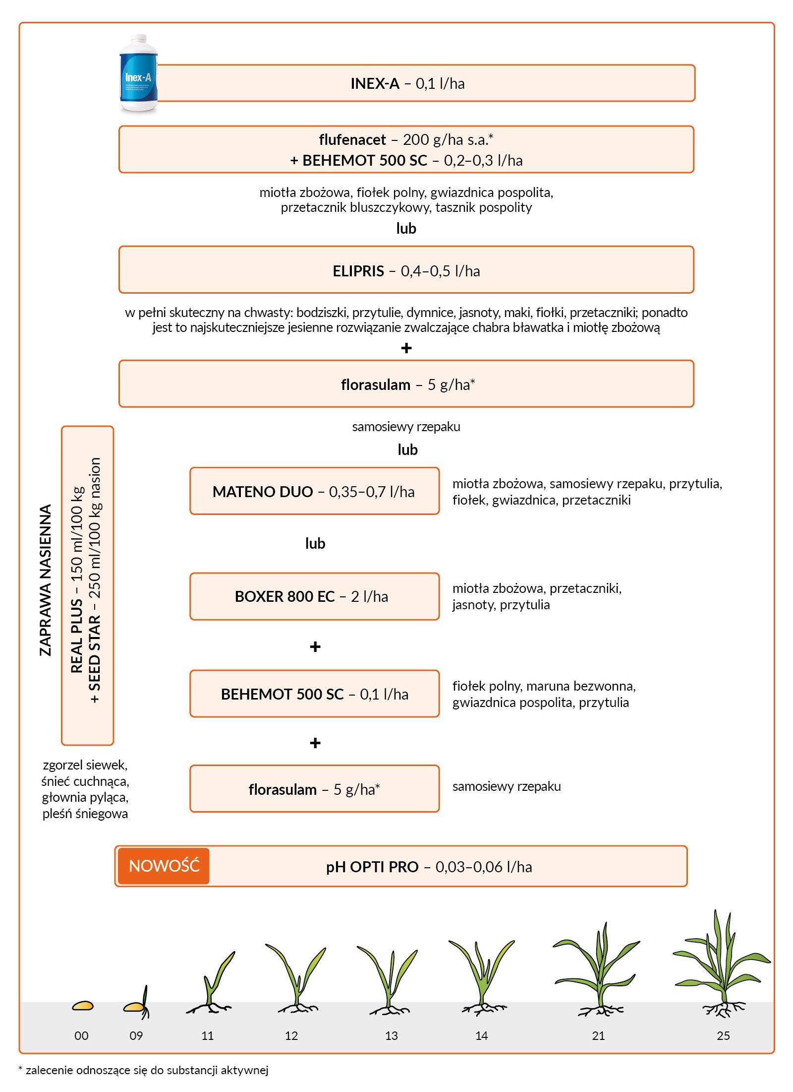 Jesienny program ochrony żyta ozimego