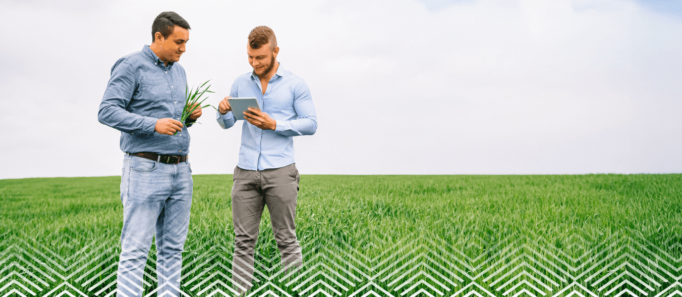 Dobra praca zaczyna się tutaj