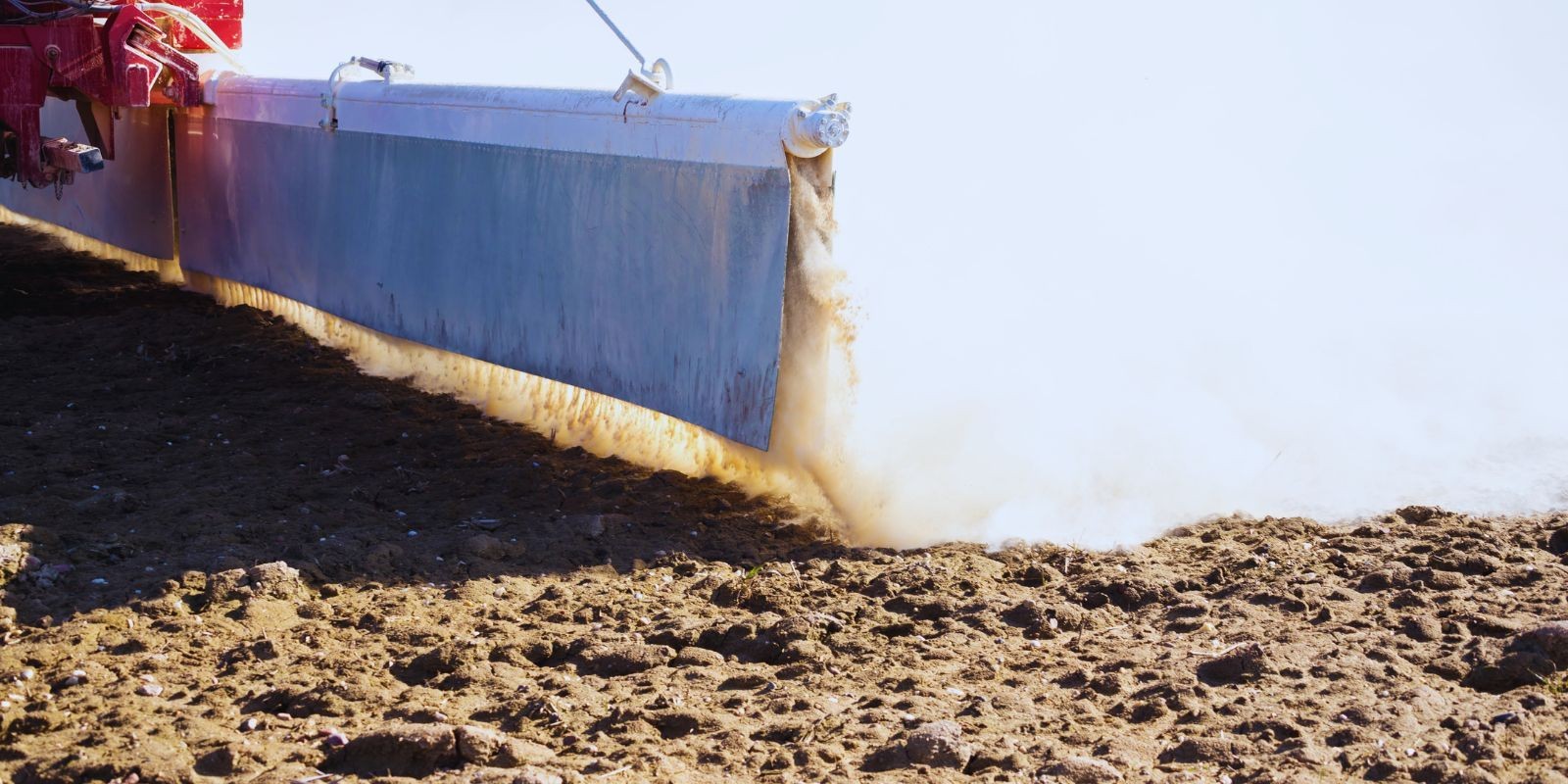 Kiedy wapnować pod kukurydzę?