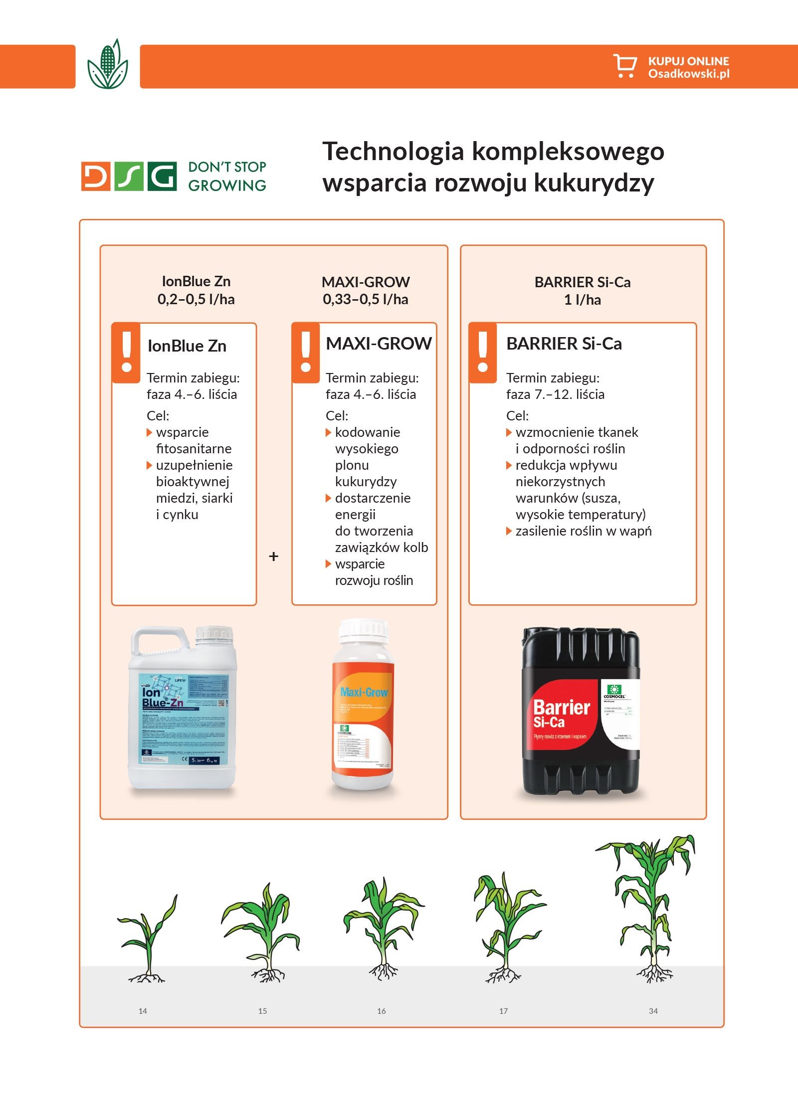 Technologia kompleksowego rozwoju kukurydzy