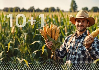 Kukurydza 10+1