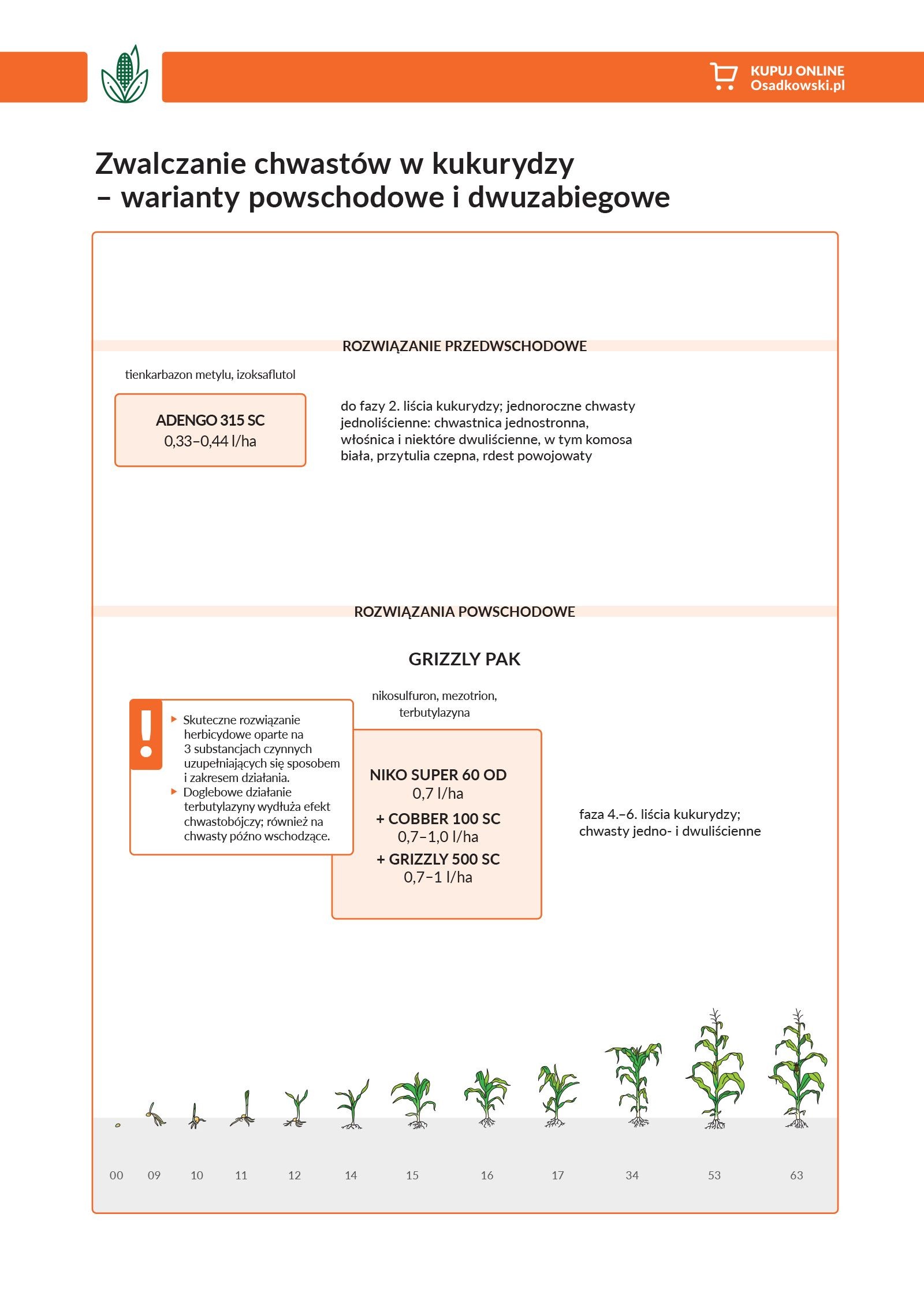 Powschodowe zwalczanie chwastów w kukurydzy