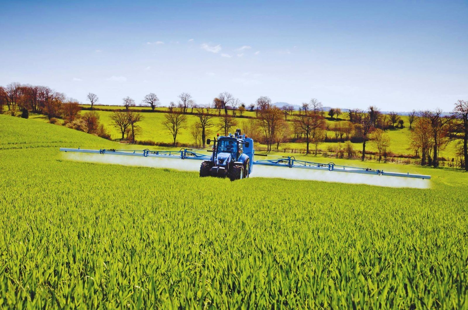 Istotne składniki – magnez i siarka