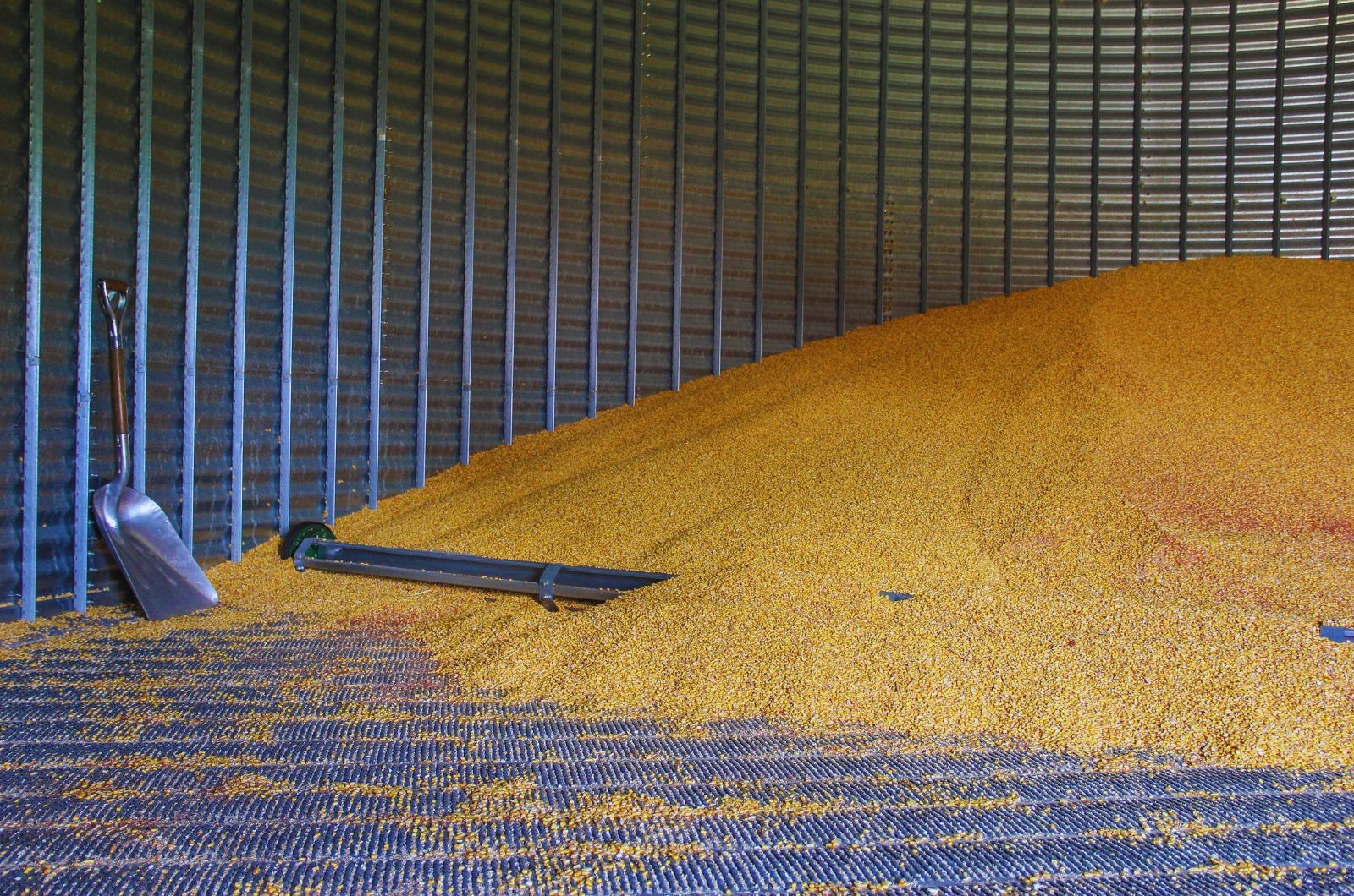 Marcowa sytuacja w skupie