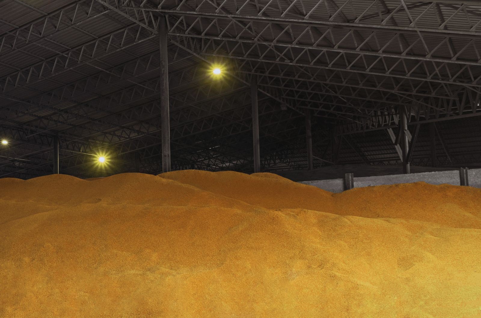 Nadpodaż zbóż - sytuacja na rynku płodów rolnych 2025