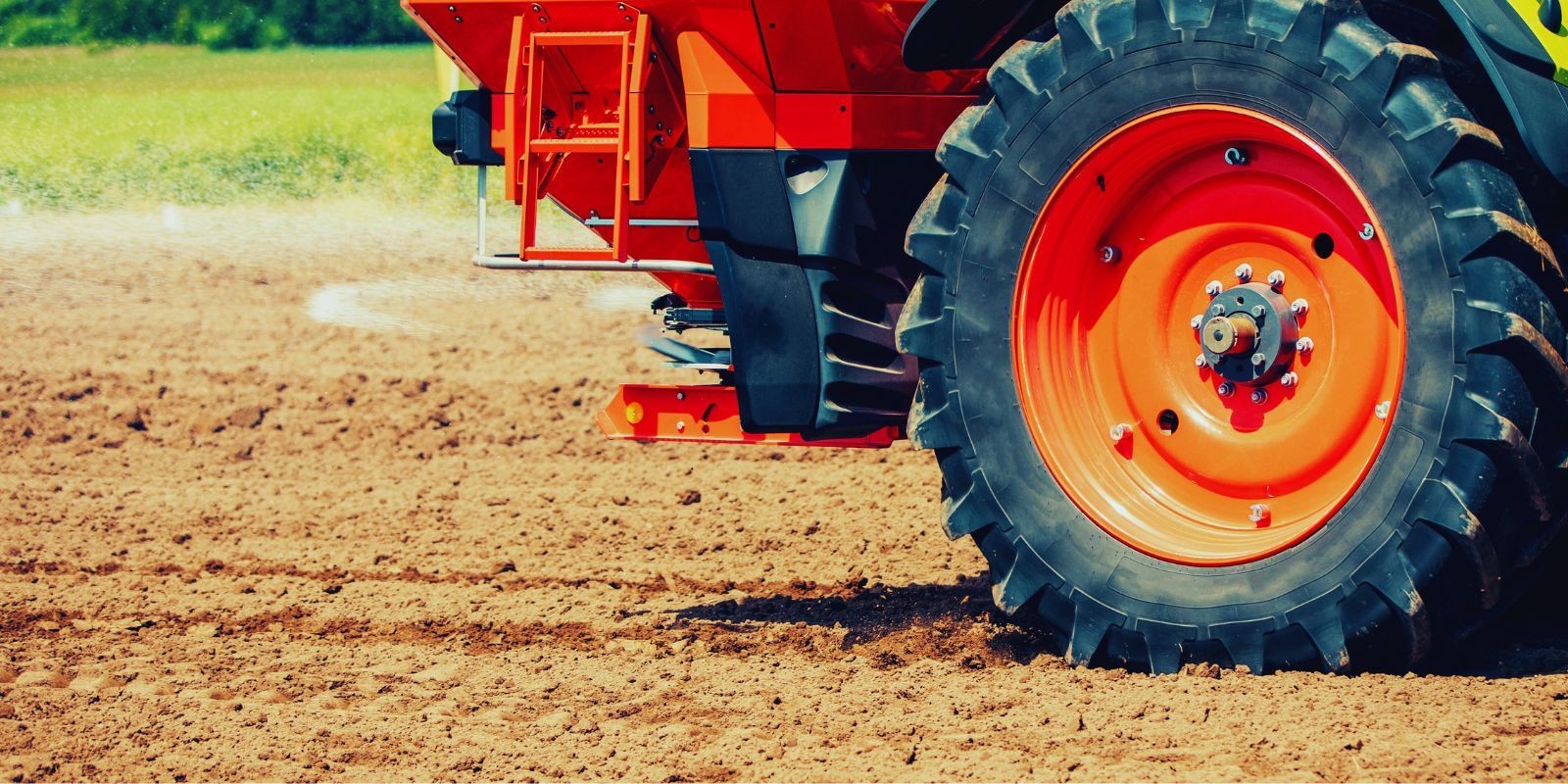 Nawożenie przedsiewne rzepaku ozimego