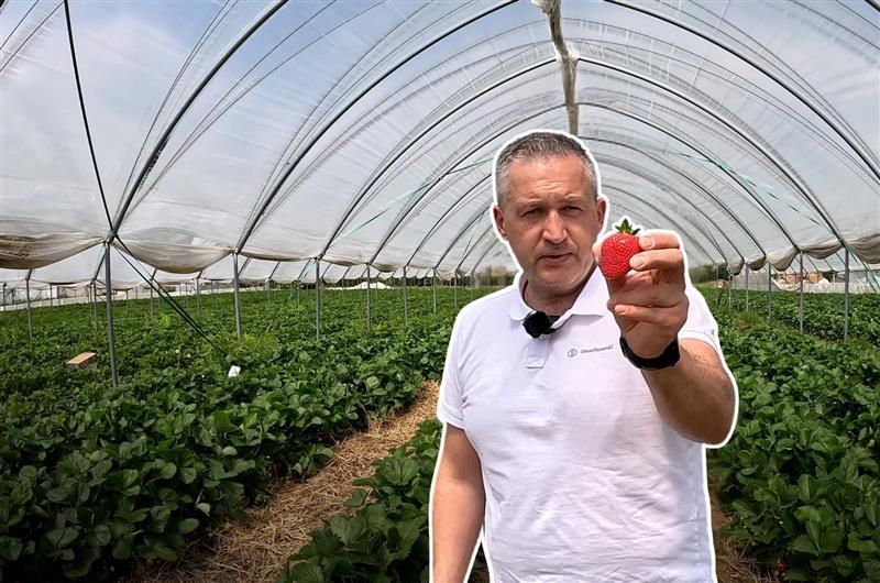 News Osadkowski odcinek 31