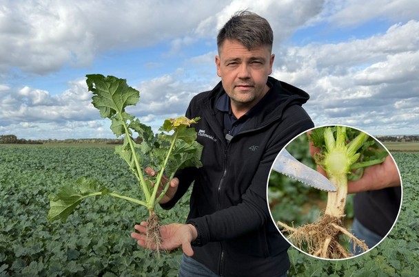 News Osadkowski.pl - odcinek 74