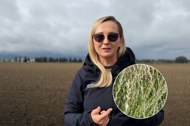 News Osadkowski odcinek 73