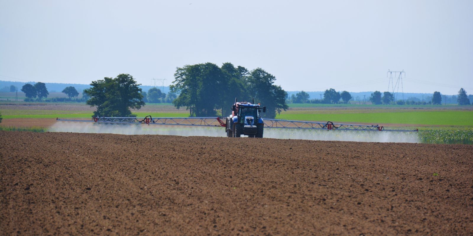 Oprysk po siewie przed wschodami rzepaku
