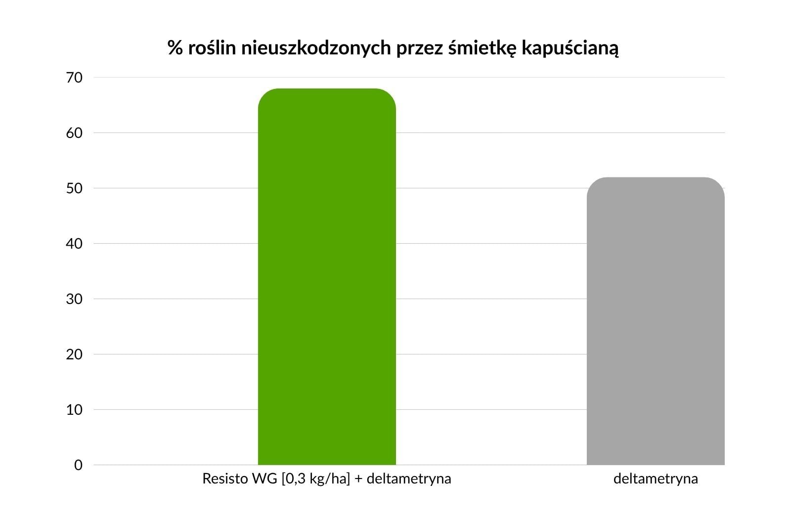 % roślin nieuszkodzonych przez śmietkę kapuścianą