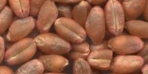 Produkt A