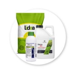 Produkty gratis