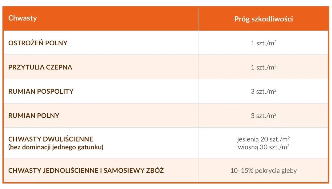 Progi szkodliwości chwastów w rzepaku