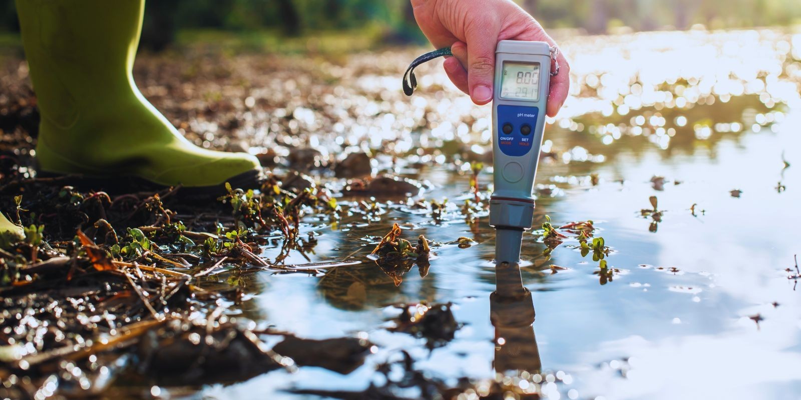 Przed wapnowaniem gleby sprawdź pH gleby