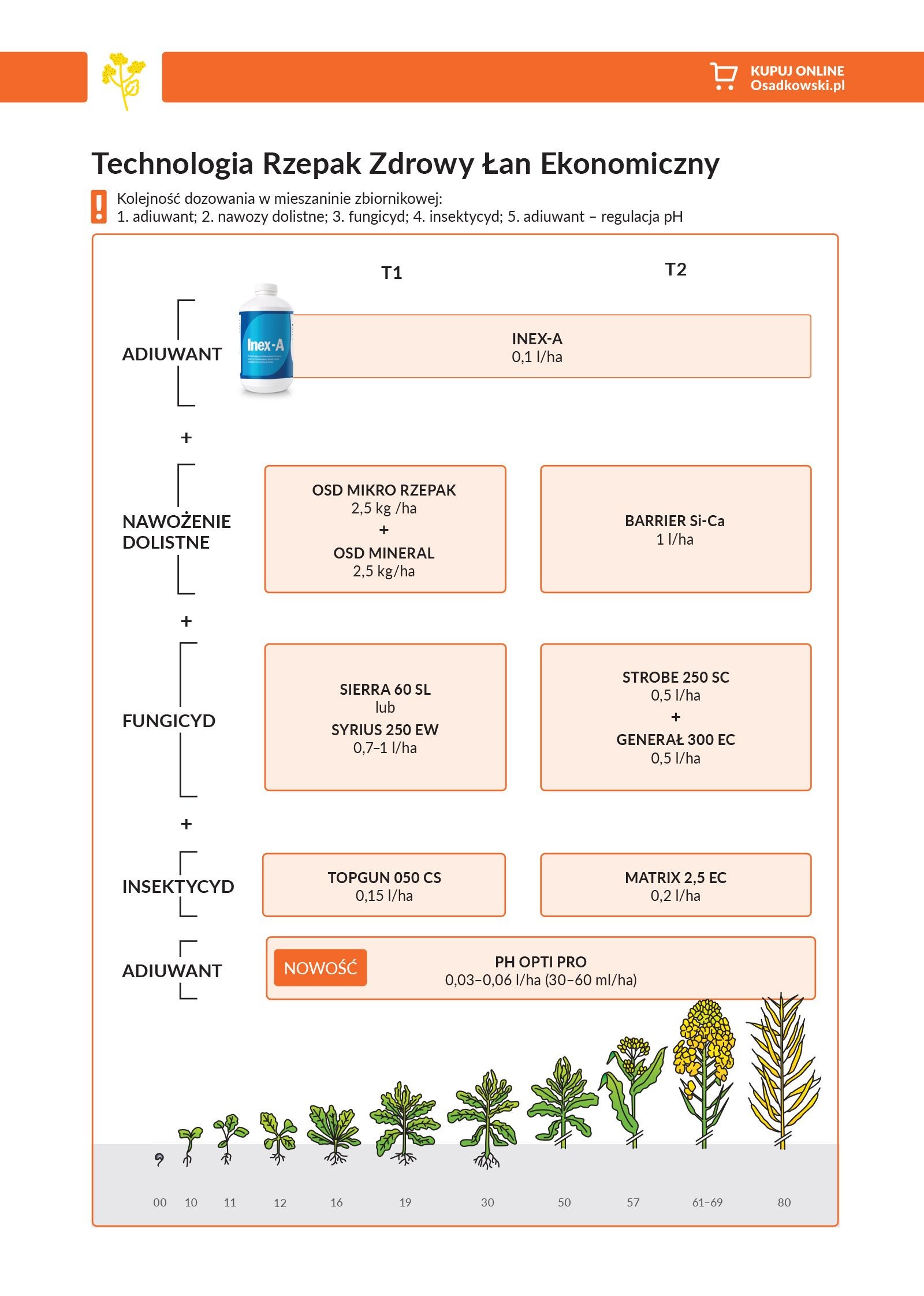 Rzepak - Technologia Zdrowy Łan Ekonomiczny
