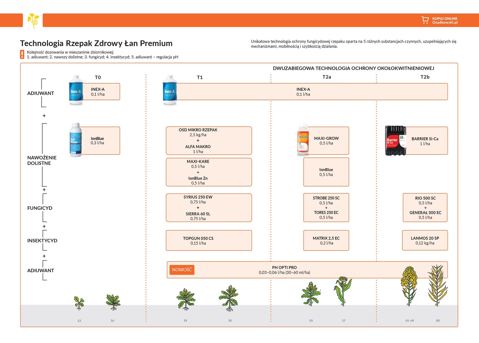 Rzepak - Technologia Zdrowy Łan Premium