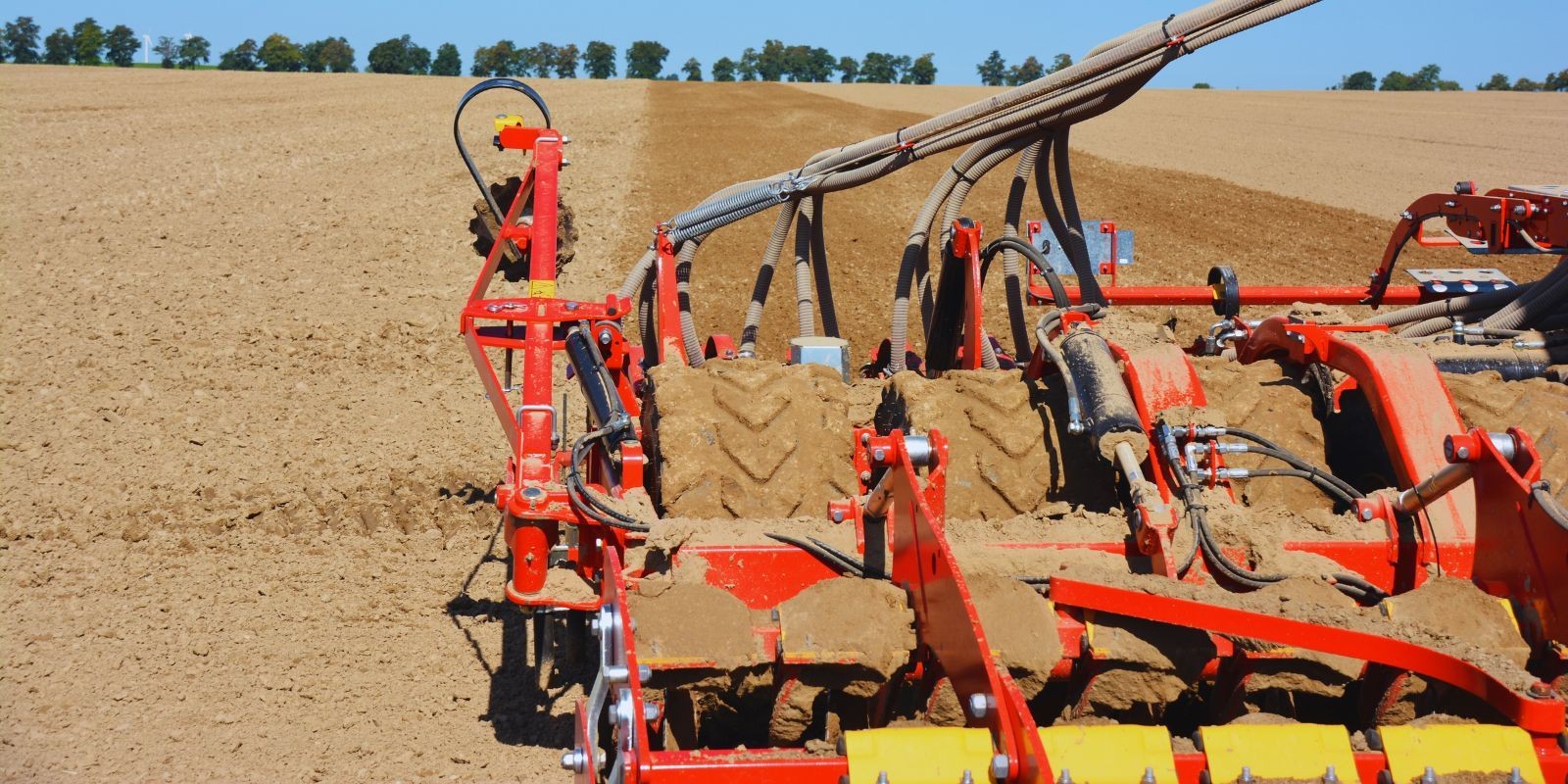 Siew rzepaku - jaki termin na twoim terenie?