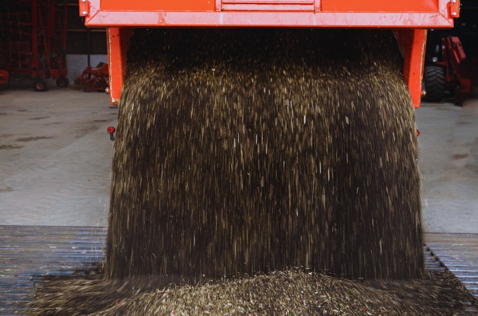 Skup zbóż - jaka sytuacja w lipcu?