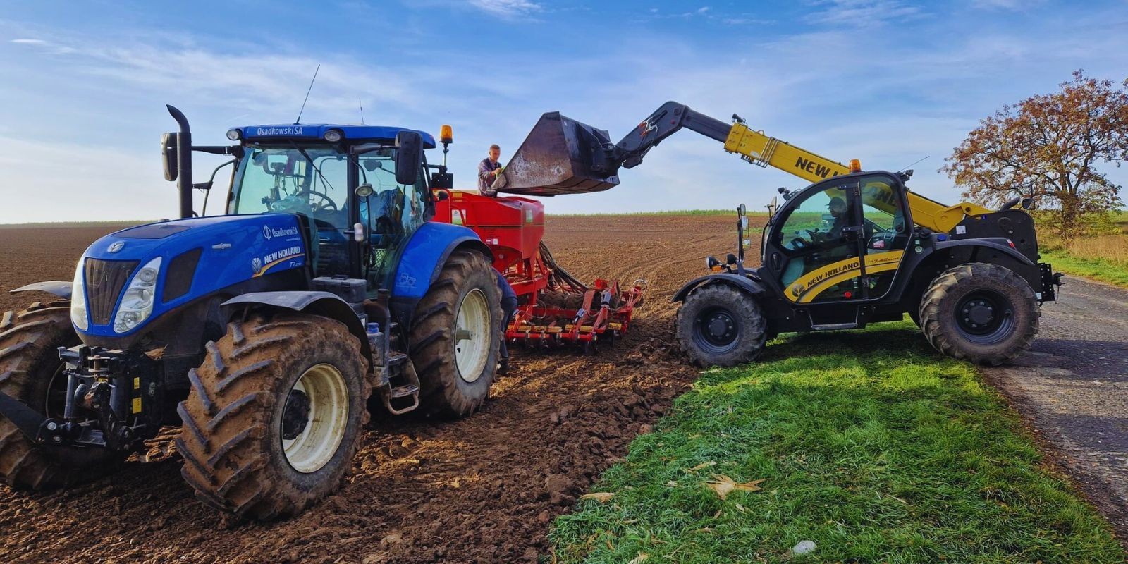 Stanowisko glebowe pod uprawę pszenicy