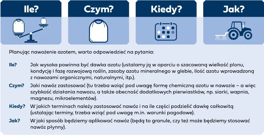 Strategia nawożenia azotem