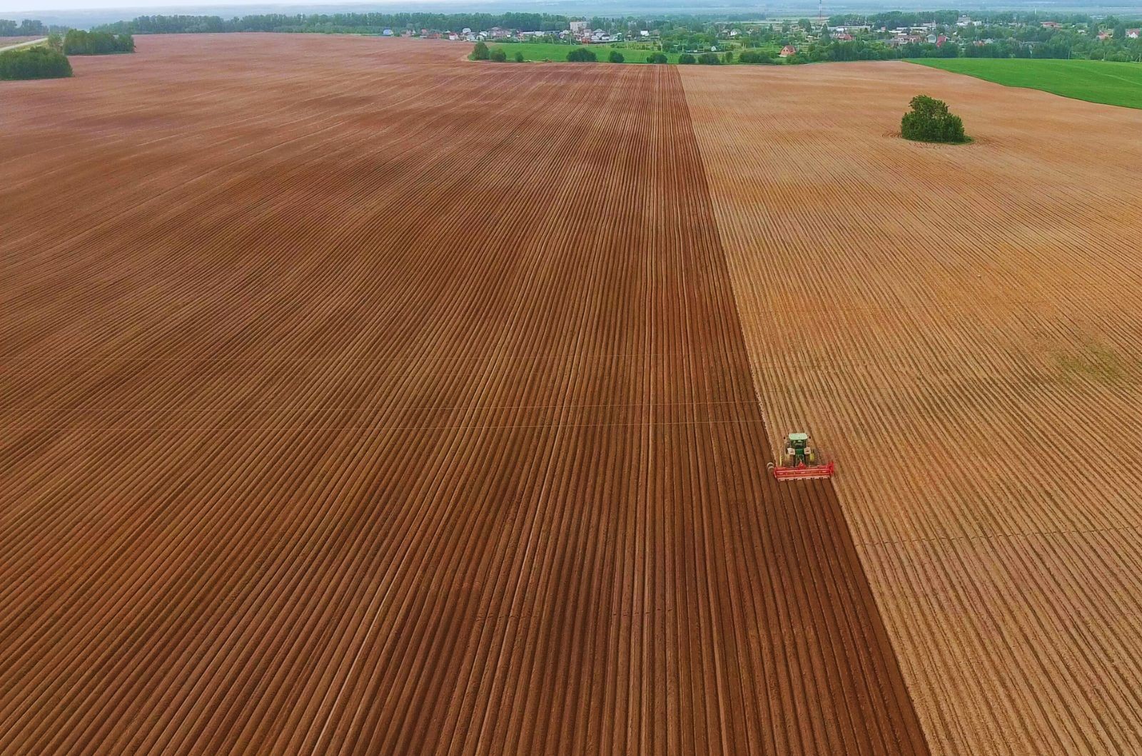 Struktura zasiewów w Polsce — jakie uprawy dominują?