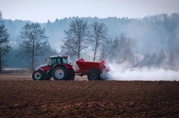 Wapnowanie gleby pod warzywa najlepiej przeprowadzić jesienią