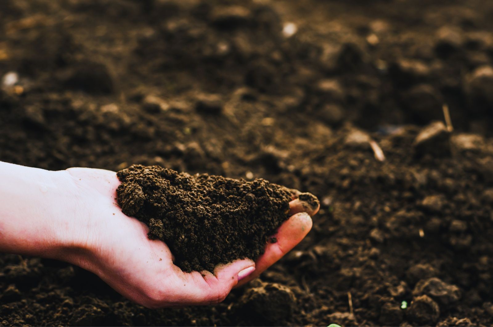 Wielokierunkowa poprawa parametrów gleby