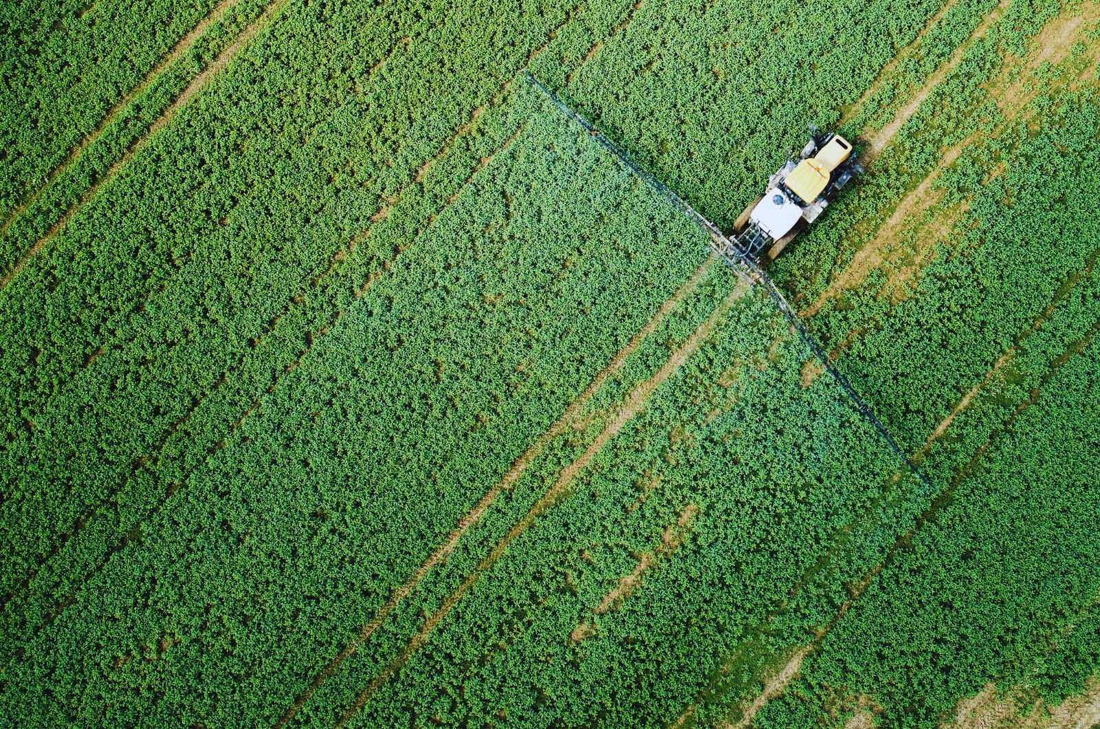 Wycofane substancje w 2025