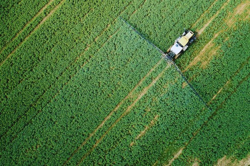 Wycofane substancje w 2025