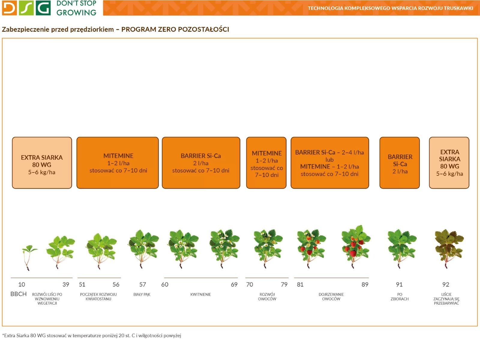 Zabezpieczenie truskawki przed przędziorkiem