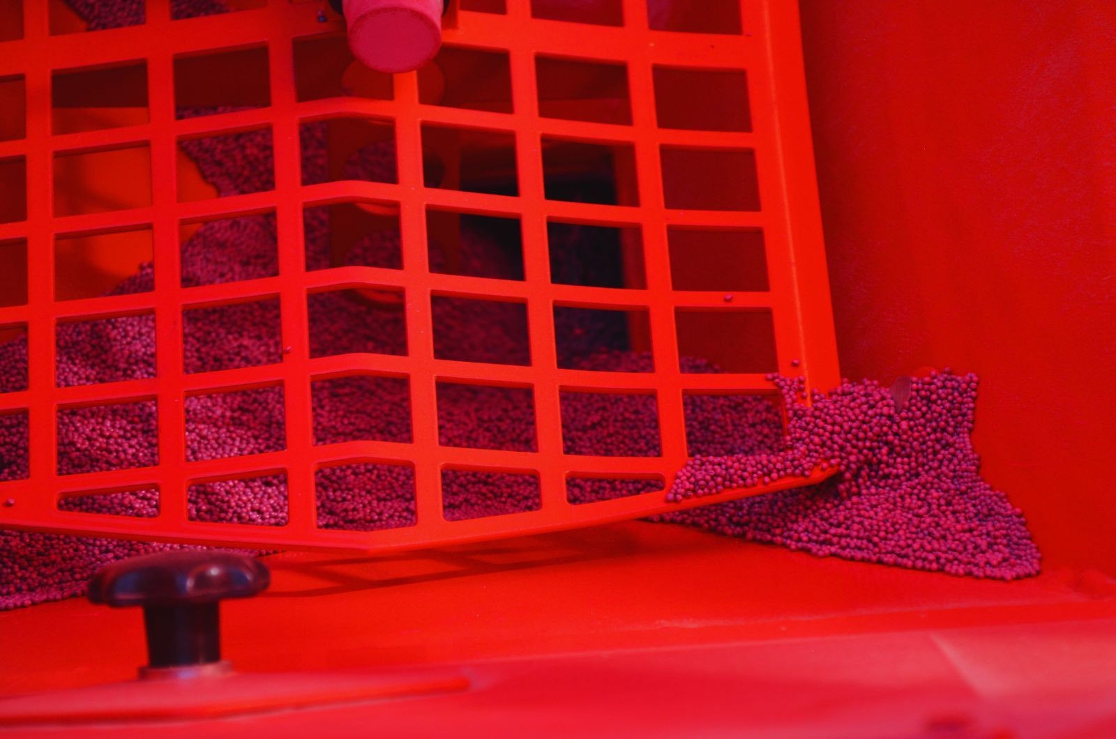 Zaprawa do rzepaku — czym chronić rzepak przed szkodnikami?