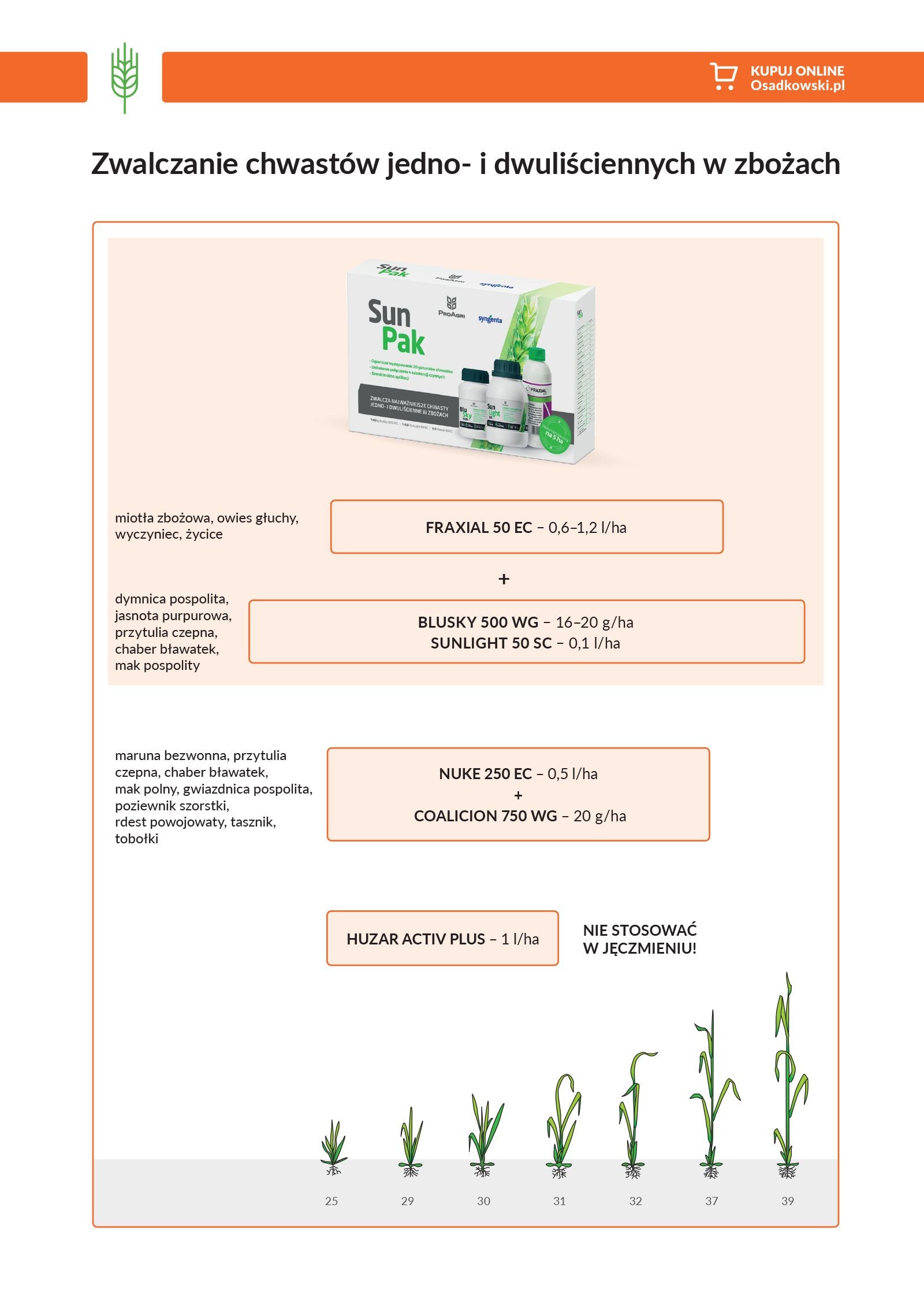 Zwalczanie chwastów w zbożach
