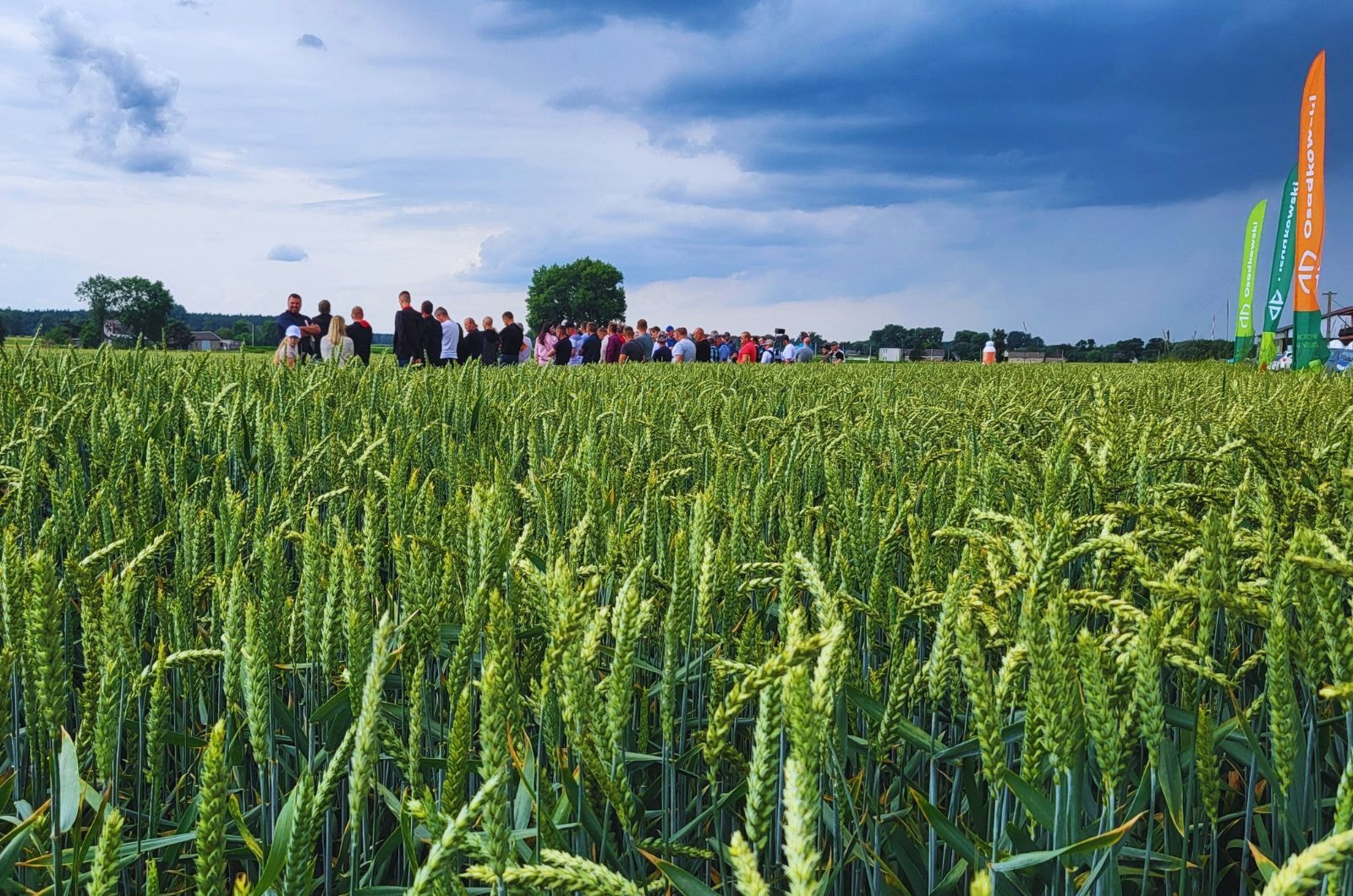 Zielone Pola 2026ruszamy w trasę na spotkania polowe w całej Polsce
