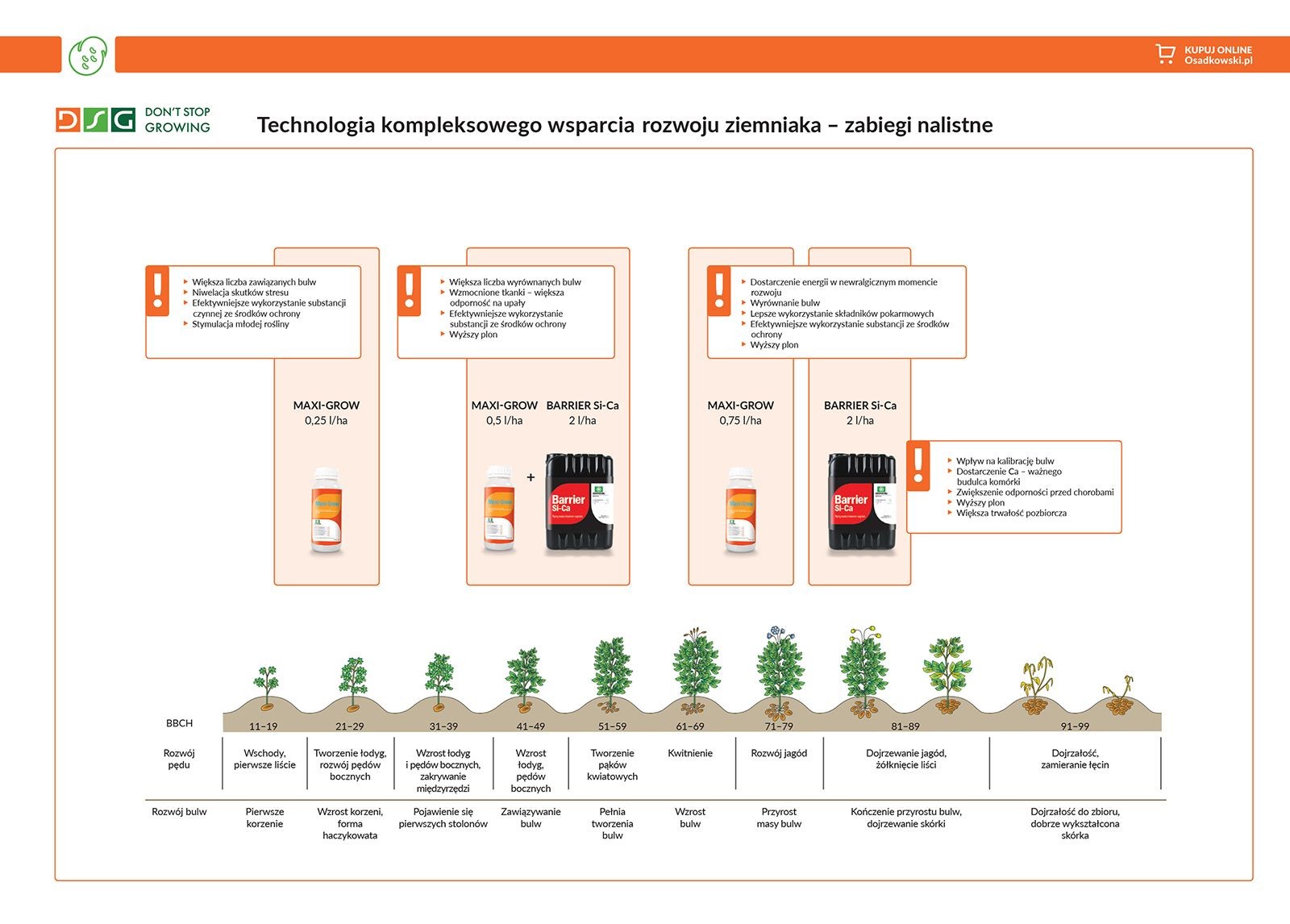 Technologia DSG Ziemniak - kompleksowe wsparcie rozwoju