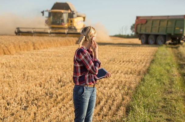 Co nowego dla globalnego rynku zbóż wynika z lutowego raportu USDA? Analiza i wpływ na rynek zbóż w Polsce