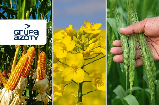 Nawóz eNpluS - odpowiedź na potrzeby współczesnego rolnictwa