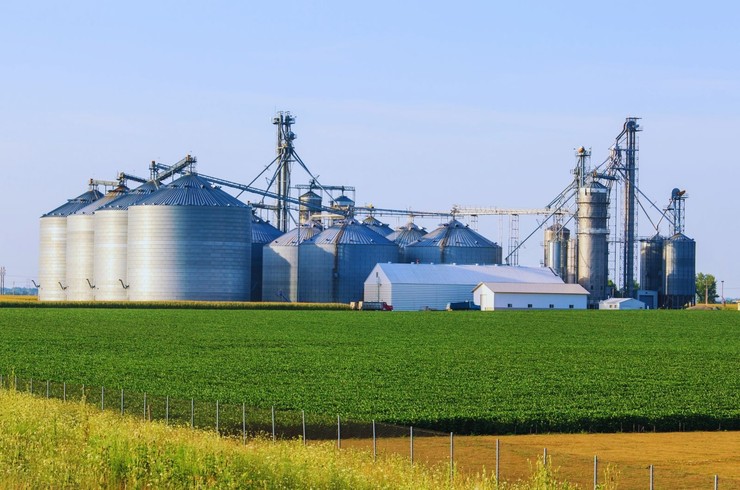 Sytuacja na rynku zbóż w Polsce i Europie – grudzień 2025